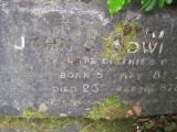 image of grave number 366167